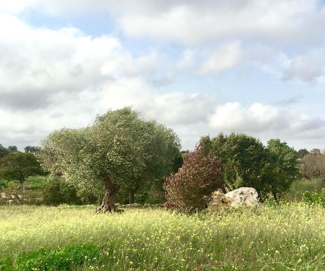 Podere Papilio Alberobello Zewnętrze zdjęcie