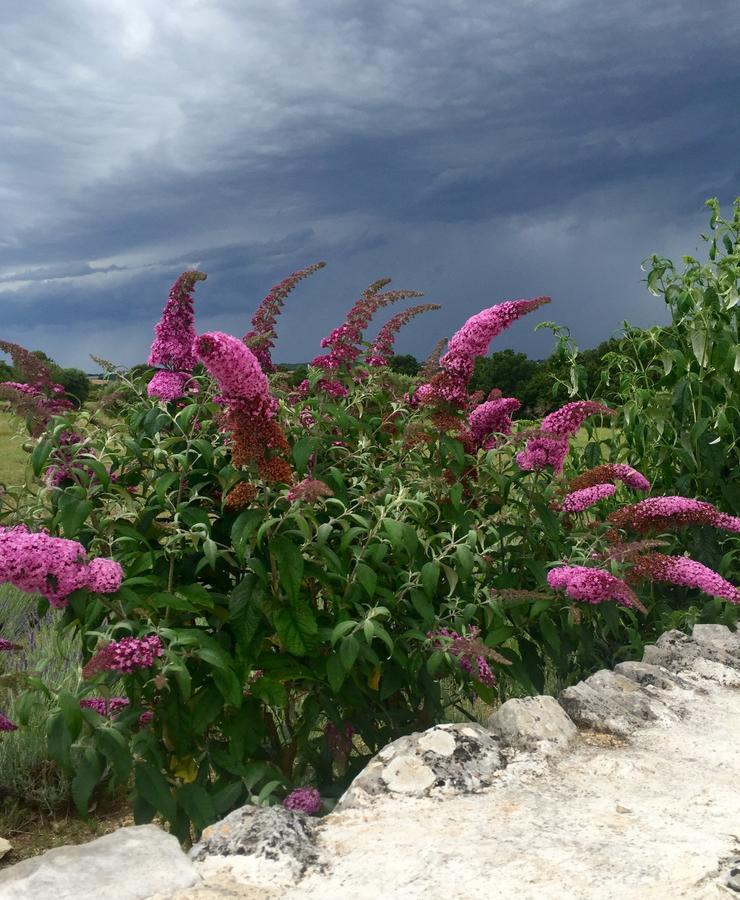 Podere Papilio Alberobello Zewnętrze zdjęcie